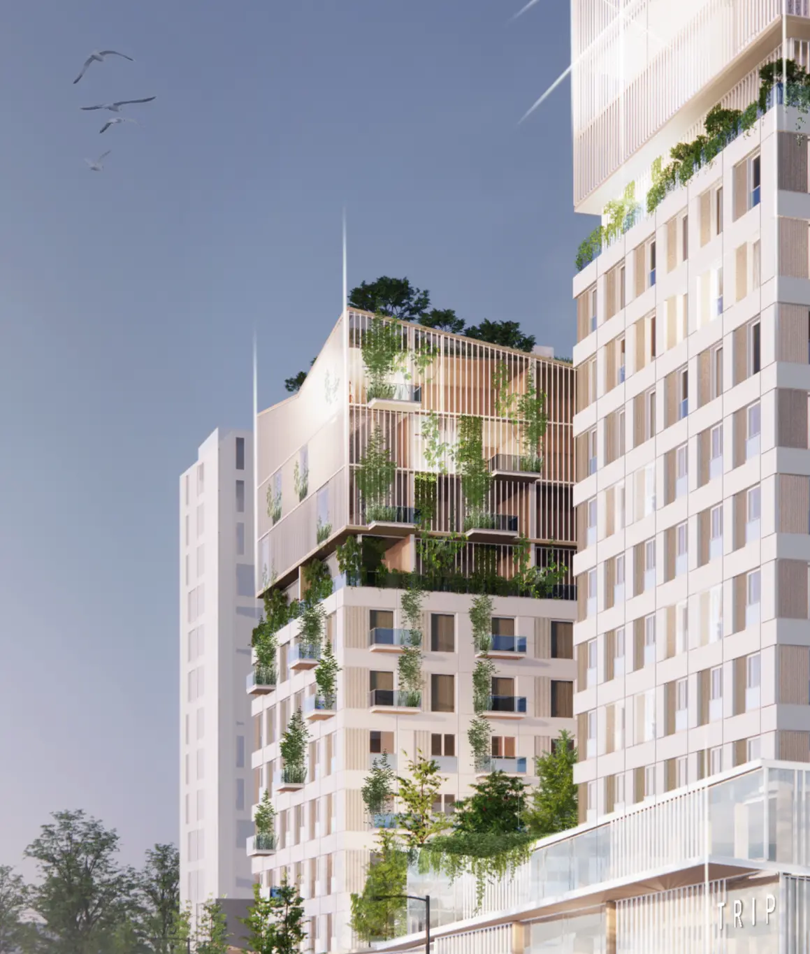 Impressie van The Urban Woods Groningen